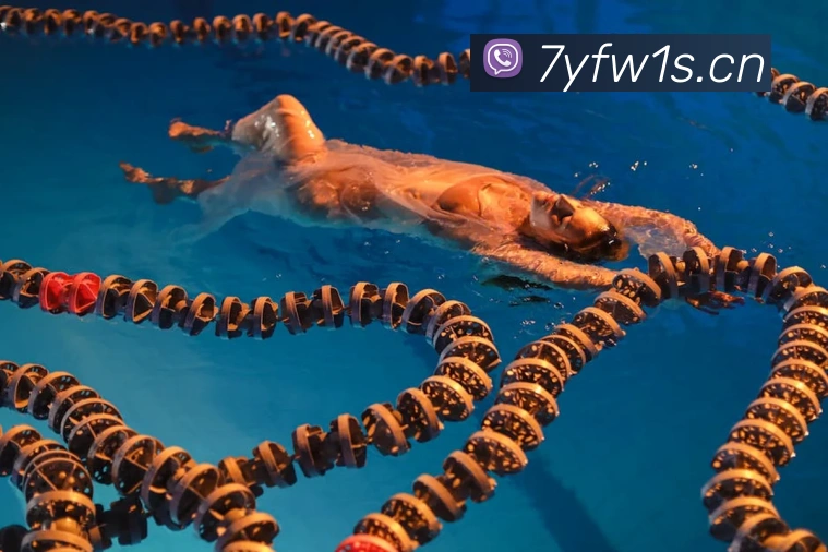 星空体育在线登录入口APP 封面图